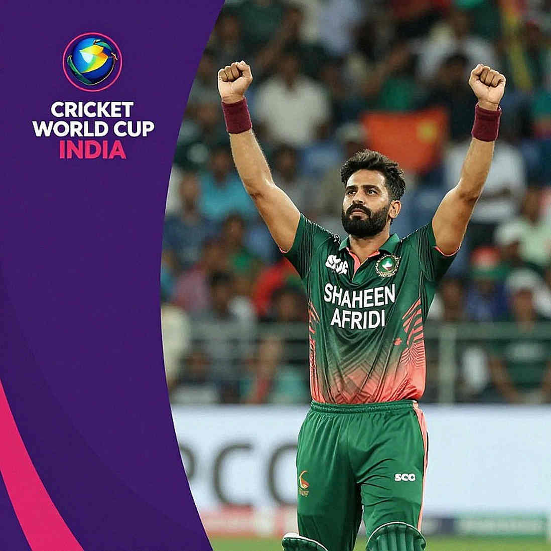 ভুল ডেস্কে পৌঁছানো একটি ফাইল: ক্রিকেট পাইপলাইনে বাজেট নথি