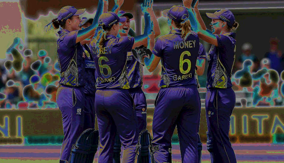 Cricket's Truth in the Blockchain Ledger: A Data Monk's Audit